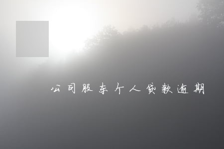 公司股东个人贷款逾期