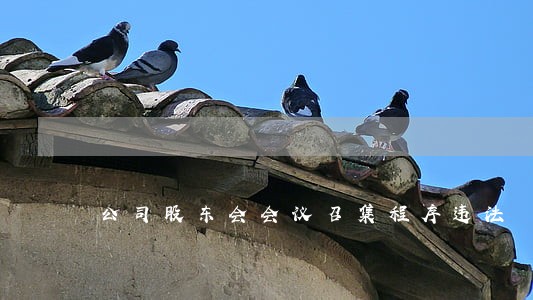公司股东会会议召集程序违法 公司股东会会议召集程序违法
