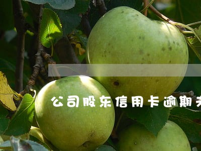 公司股东信用卡逾期未还 公司股东信用卡逾期未还