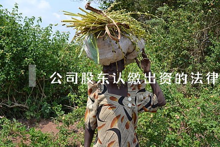 公司股东认缴出资的法律法规 公司股东认缴出资的法律法规