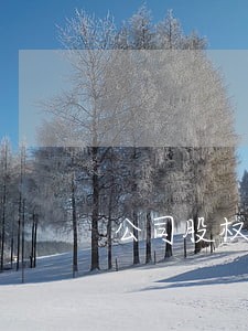 公司股权律师费用 公司股权律师费用