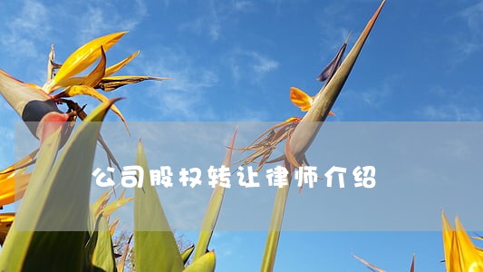 公司股权转让律师介绍 公司股权转让律师介绍
