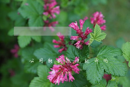 公司能到法院起诉吗 公司能到法院起诉吗