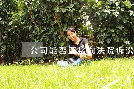 公司能否直接向法院诉讼 公司能否直接向法院诉讼