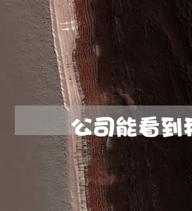 公司能看到我信用卡逾期吗