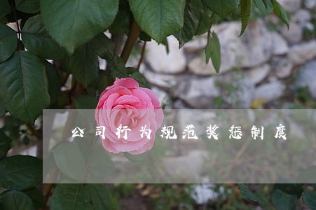公司行为规范奖惩制度 公司行为规范奖惩制度