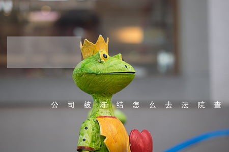 公司被冻结怎么去法院查