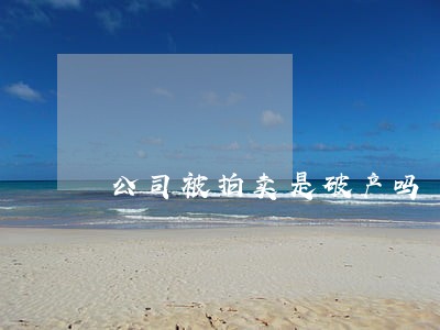 公司被拍卖是破产吗