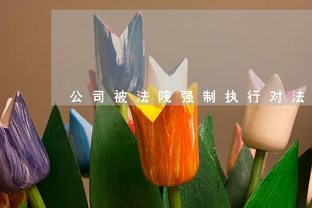 公司被法院强制执行对法人影响 公司被法院强制执行对法人影响
