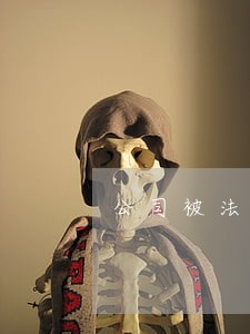 公司被法院执行对监事 公司被法院执行对监事