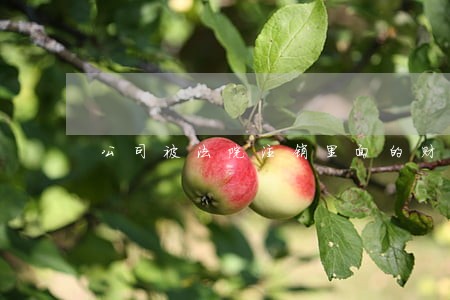 公司被法院注销里面的财物 公司被法院注销里面的财物