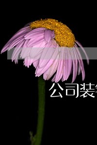 公司装针孔摄像头违法吗 公司装针孔摄像头违法吗