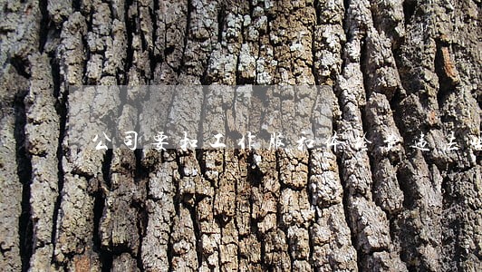 公司要扣工作服和体检费违法吗 公司要扣工作服和体检费违法吗