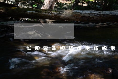 公司要承担法律责任吗责任吗 公司要承担法律责任吗责任吗