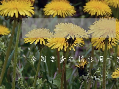 公司要查征信信用卡有逾期怎么办 公司要查征信信用卡有逾期怎么办