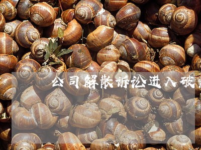 公司解散诉讼进入破产 公司解散诉讼进入破产