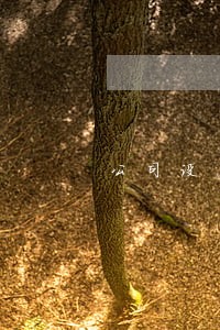 公司设立法律意见书范文 公司设立法律意见书范文
