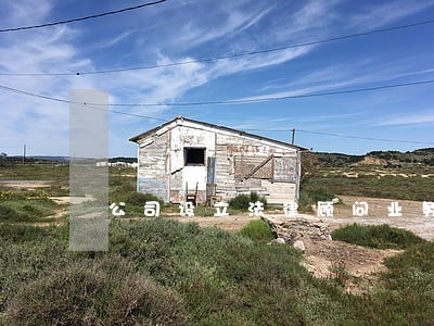 公司设立法律顾问业务 公司设立法律顾问业务
