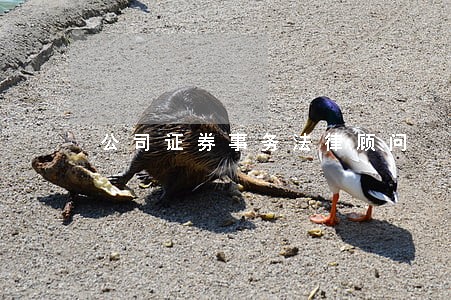 公司证券事务法律顾问 公司证券事务法律顾问