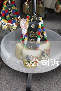 公司诉讼代理材料需要什么 公司诉讼代理材料需要什么