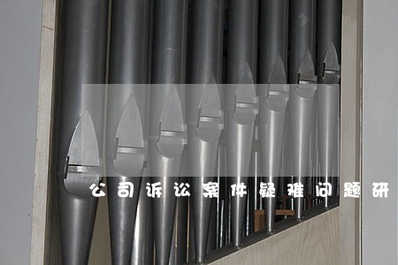 公司诉讼案件疑难问题研讨 公司诉讼案件疑难问题研讨