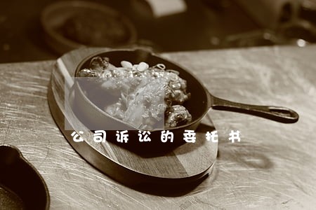 公司诉讼的委托书