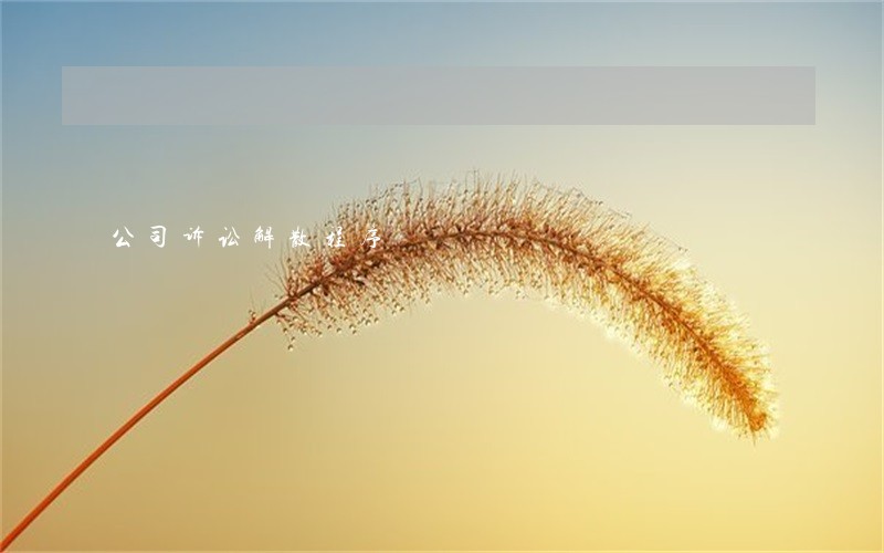 公司诉讼解散程序