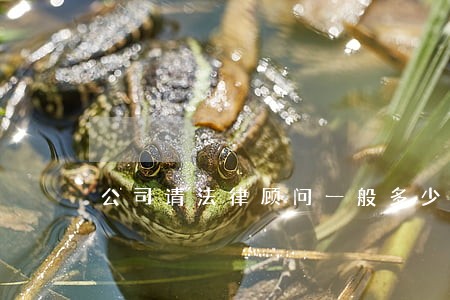 公司请法律顾问一般多少 公司请法律顾问一般多少