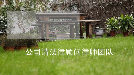 公司请法律顾问律师团队 公司请法律顾问律师团队
