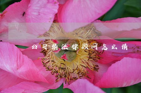 公司请法律顾问怎么请 公司请法律顾问怎么请