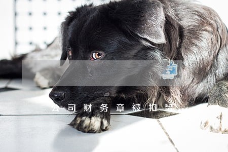 公司财务章被扣留
