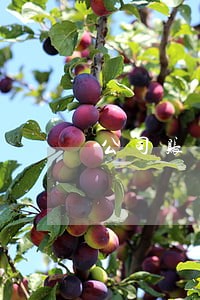 公司账户司法冻结是否可以转入 公司账户司法冻结是否可以转入
