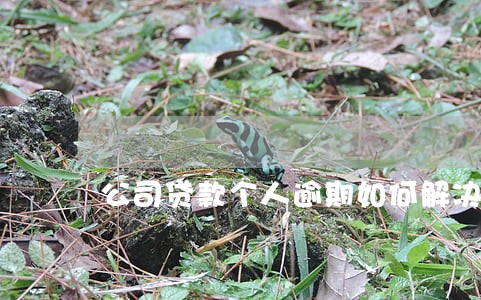 公司贷款个人逾期如何解决 公司贷款个人逾期如何解决