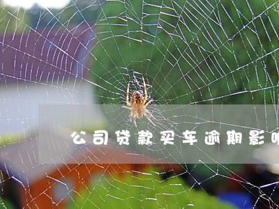 公司贷款买车逾期影响法人吗 公司贷款买车逾期影响法人吗