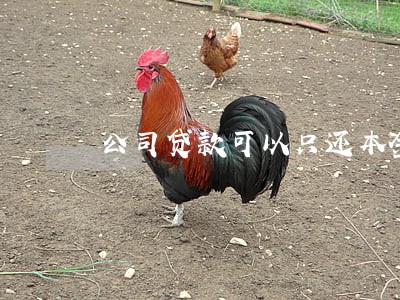 公司贷款可以只还本金吗 公司贷款可以只还本金吗