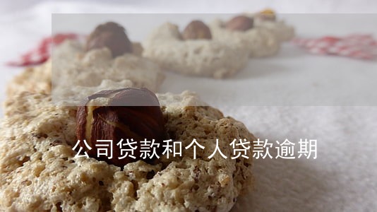 公司贷款和个人贷款逾期 公司贷款和个人贷款逾期