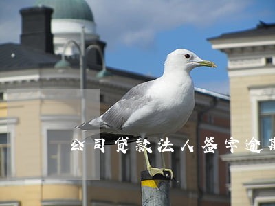 公司贷款法人签字逾期未还 公司贷款法人签字逾期未还