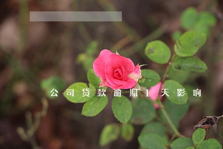 公司贷款逾期1天影响 公司贷款逾期1天影响