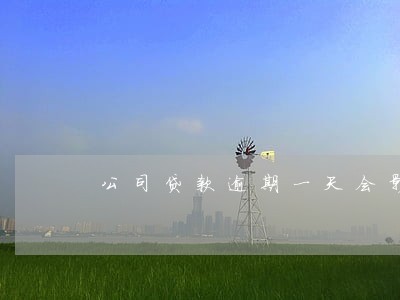 公司贷款逾期一天会影响信用 公司贷款逾期一天会影响信用