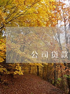 公司贷款逾期可以走仲裁吗 公司贷款逾期可以走仲裁吗