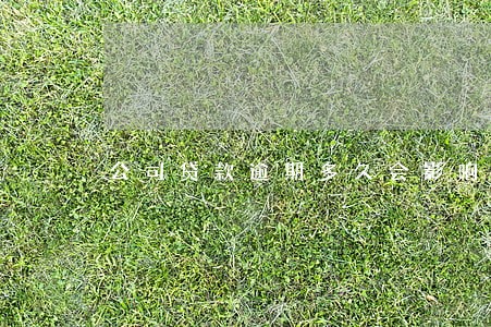 公司贷款逾期多久会影响征信 公司贷款逾期多久会影响征信