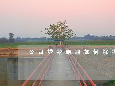 公司贷款逾期如何解决 公司贷款逾期如何解决