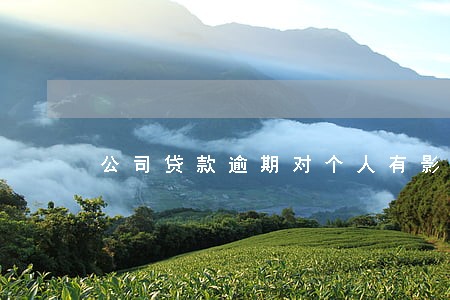 公司贷款逾期对个人有影响 公司贷款逾期对个人有影响
