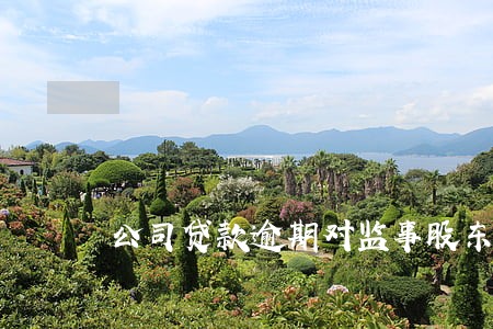 公司贷款逾期对监事股东影响