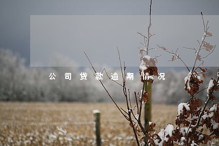 公司贷款逾期情况