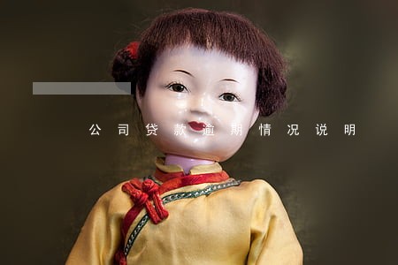 公司贷款逾期情况说明