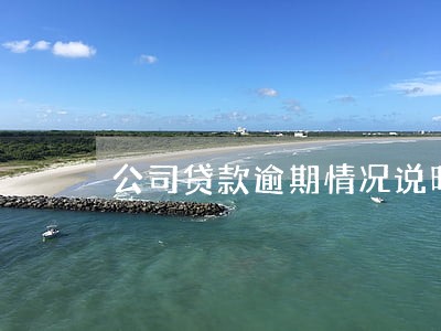 公司贷款逾期情况说明范文 公司贷款逾期情况说明范文