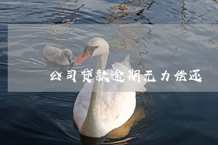 公司贷款逾期无力偿还 公司贷款逾期无力偿还