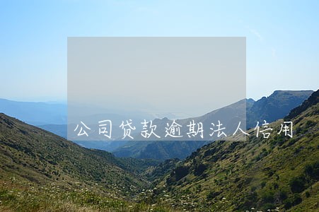 公司贷款逾期法人信用 公司贷款逾期法人信用