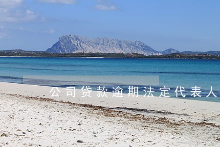 公司贷款逾期法定代表人征信 公司贷款逾期法定代表人征信